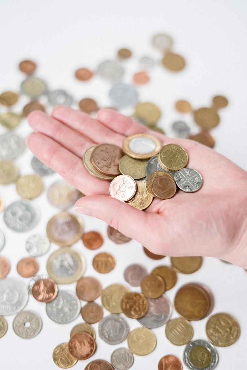 Euro zloty