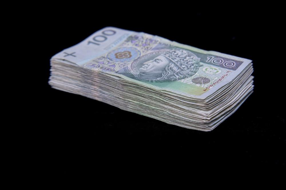 Polish money